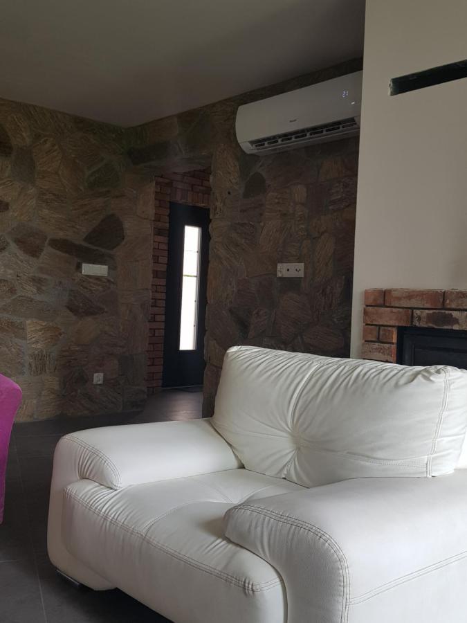 Mlynska 8 Opole-Gorki Villa Exterior foto